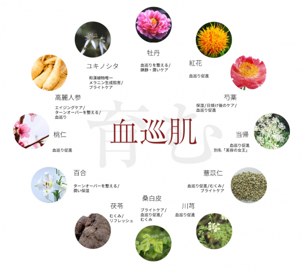 朱華